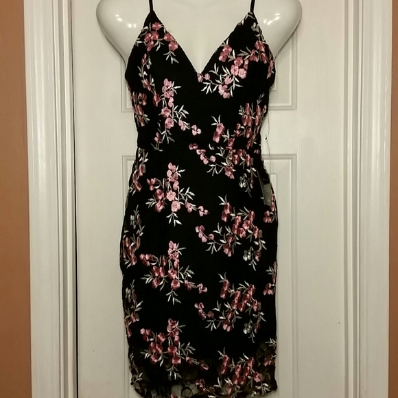 Lulu's Lace Embroidered Bodycon Dress compared to Madewell Sz XS - Picture 3 of 8
